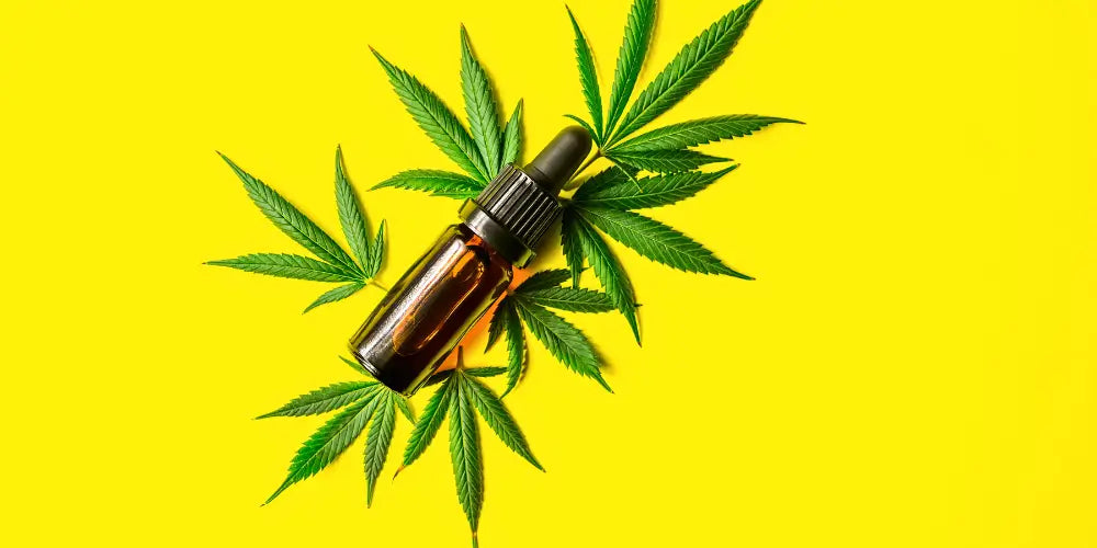 CBD Legalisierung CBD Oil mit gelben Hintergrund