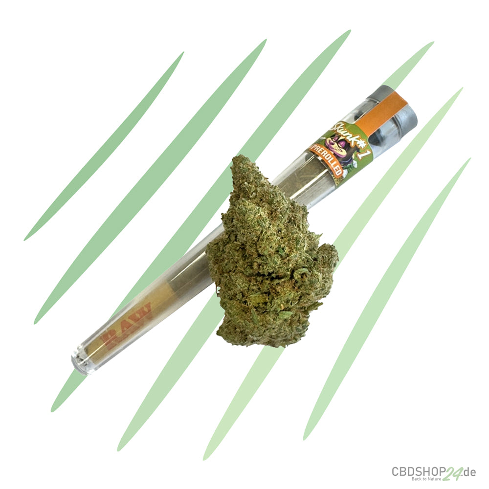 HHZ Pre-Roll - Skunk #1-cbdshop24.de