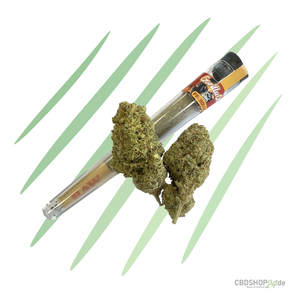 HHZ Pre-Roll - Gorilla Glue-cbdshop24.de