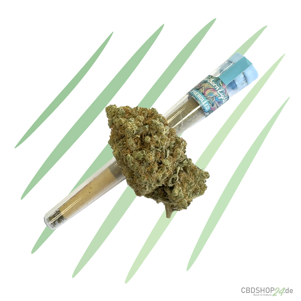 HHZ Pre-Roll - Northern Lights-cbdshop24.de