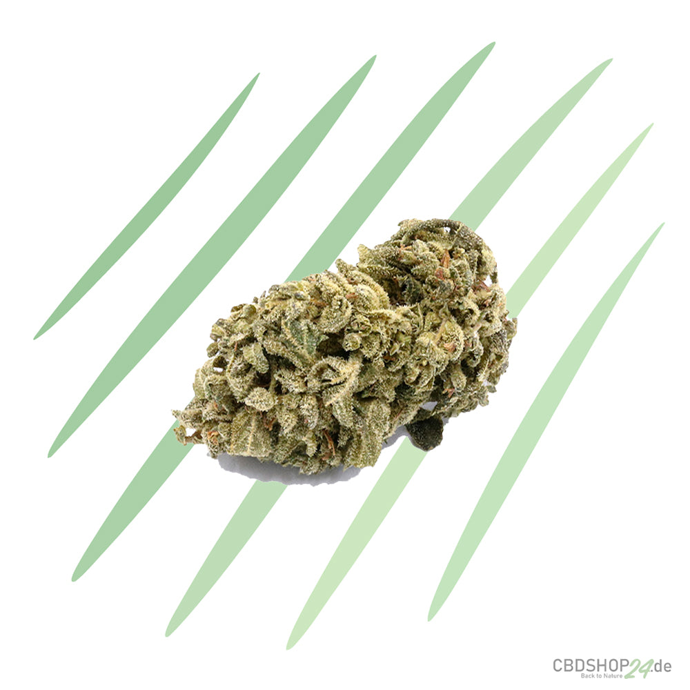 CBD-Blüte - Blueberry Yum Yum - IlovePot-cbdshop24.de
