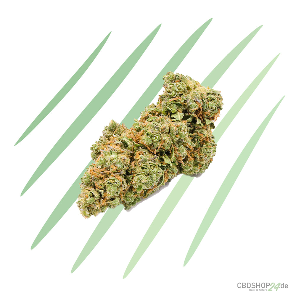 CBD-Blüte - Lemon Haze - IlovePot-cbdshop24.de