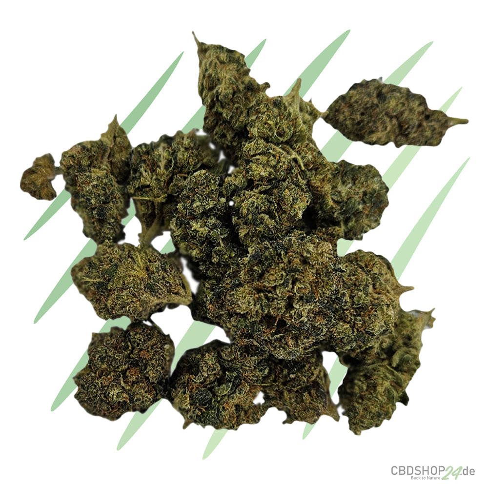 CBD Blüten Northern Lights #5 x Haze-cbdshop24.de