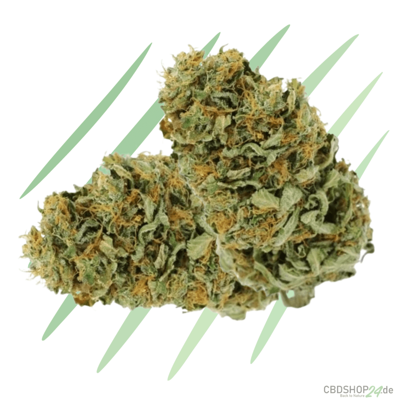 CBD Blüten Amnesia Haze-cbdshop24.de