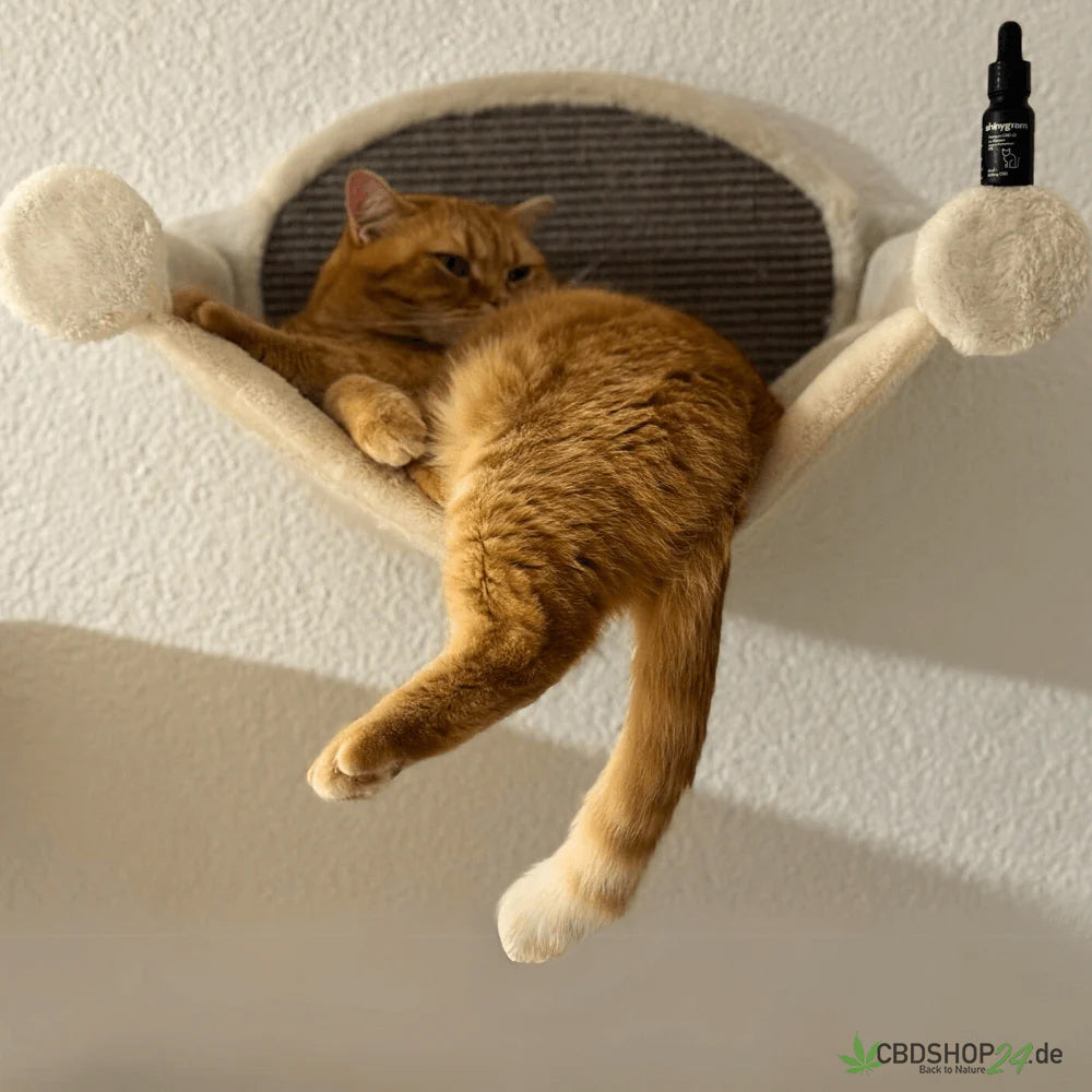 CBD Öl für Katzen 5%-cbdshop24.de