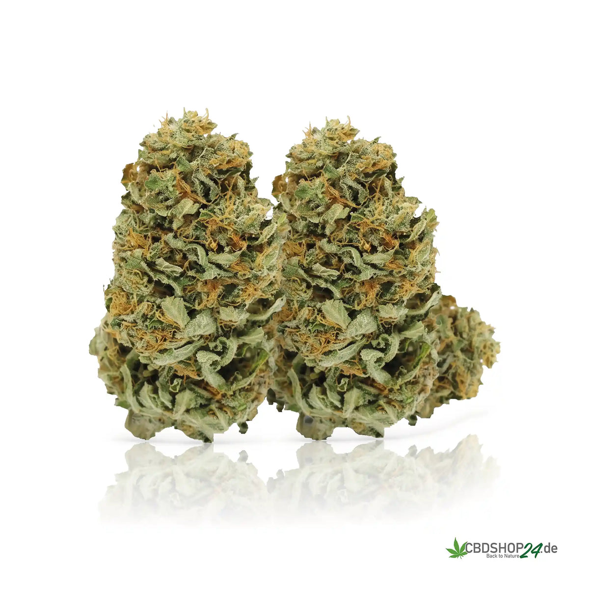 CBD Blüten 16% Amnesia Haze