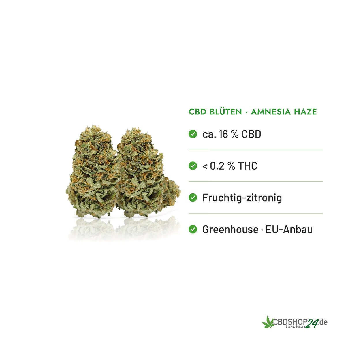 CBD Blüten 16% Amnesia Haze