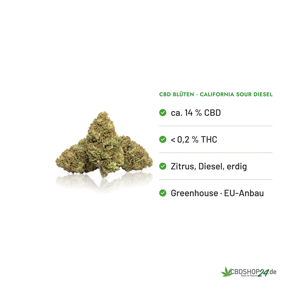 CBD Blüten 14% California Sour Diesel