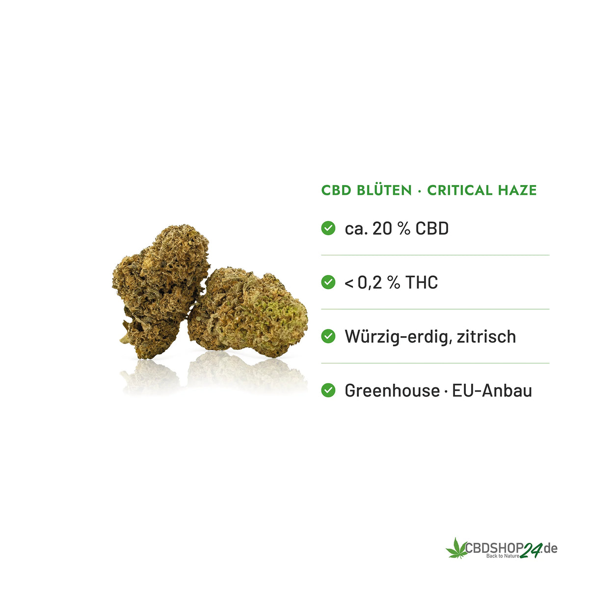 CBD Blüten 20% Critical Haze