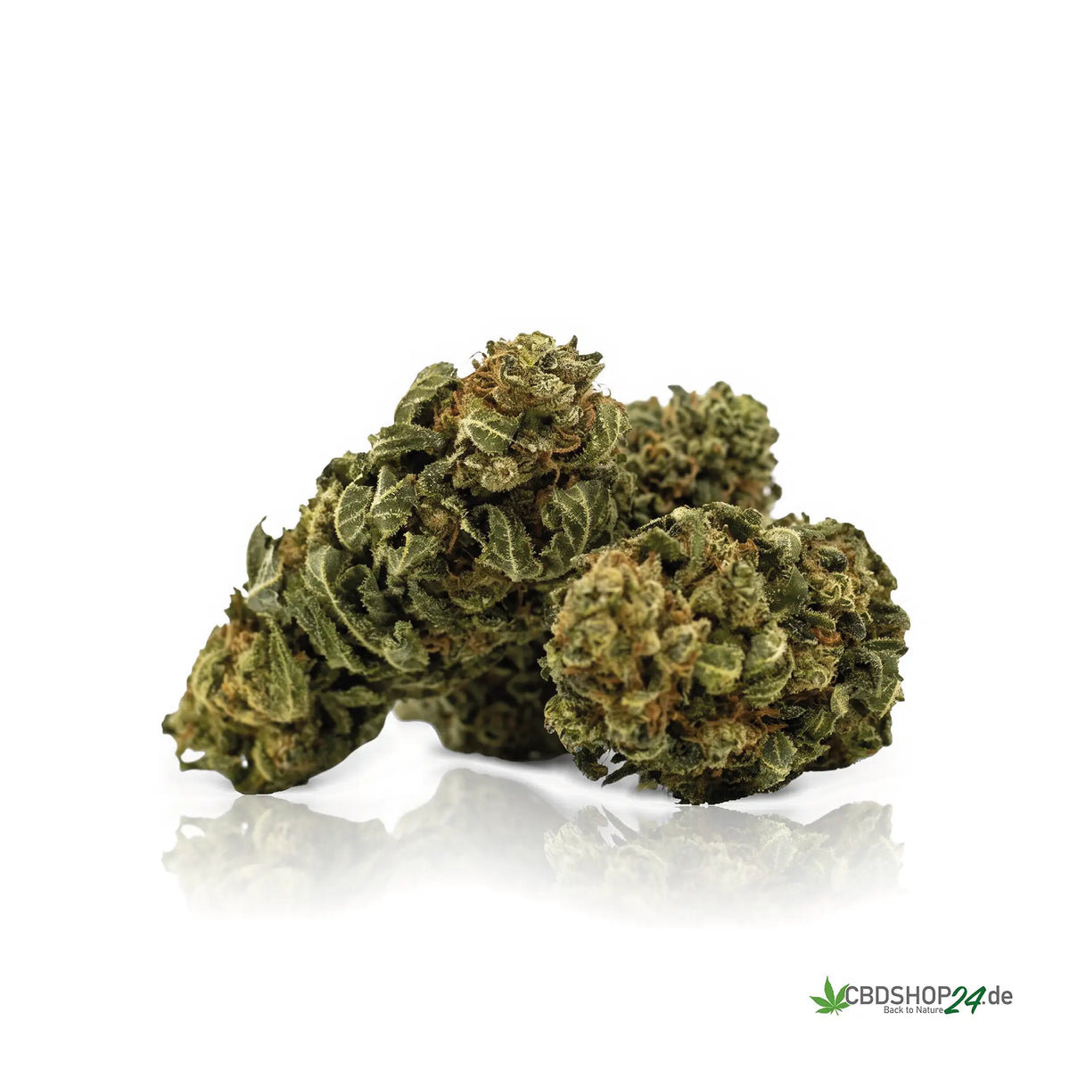 CBD Blüten 13% Skywalker OG