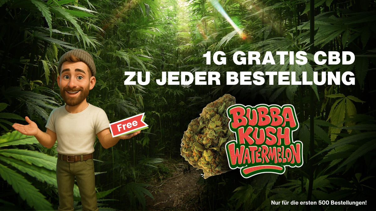 cbdshop24-launch-aktion-header-desk-cbdshop24.de