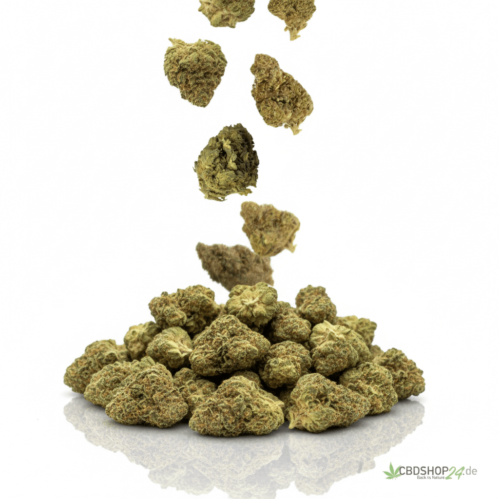 16g Blüten 10-OH-HHC Bundle-cbdshop24.de