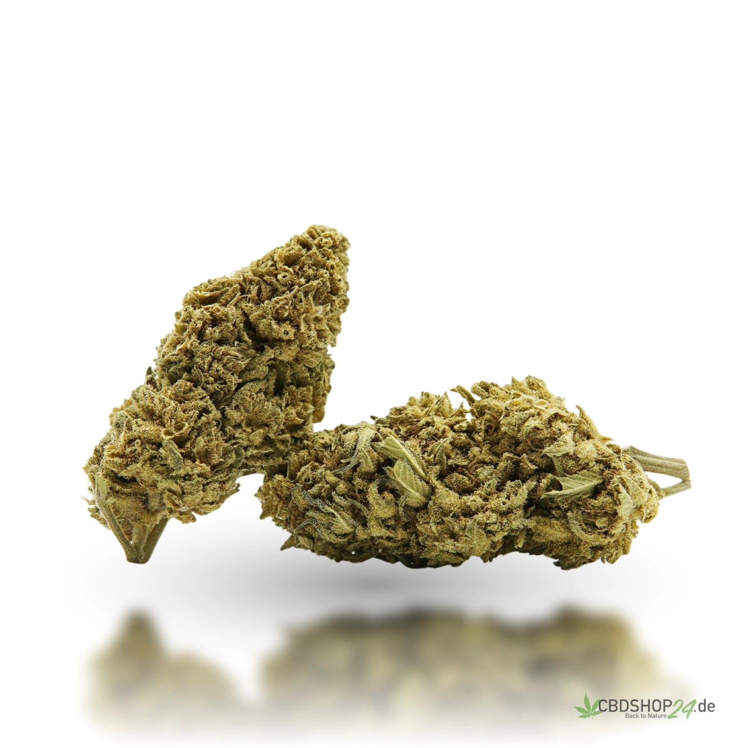 CBD Blüten 11% Northern Lights cbdshop24