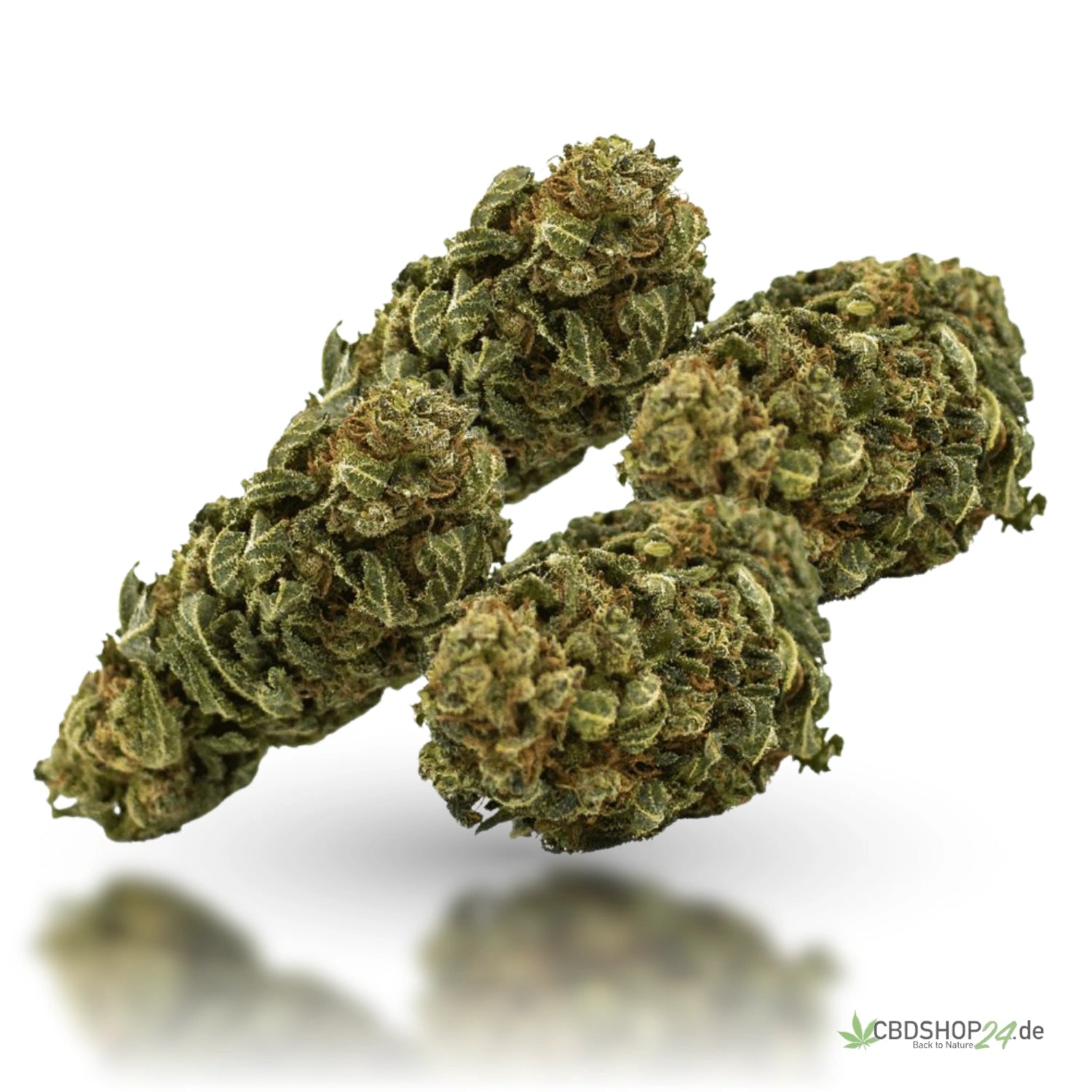 CBD Blüten 13% Skywalker OG cbdshop24