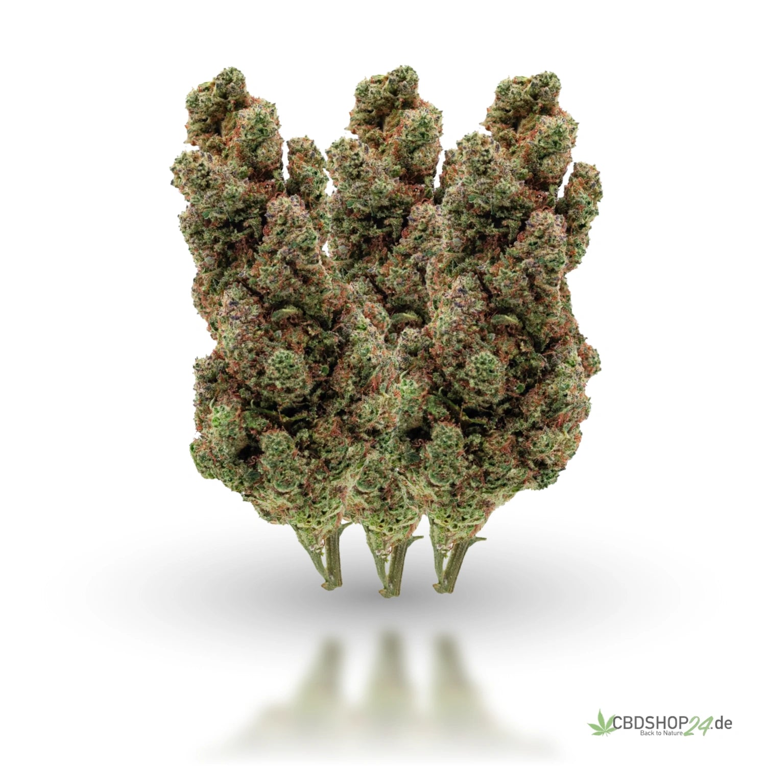 H2 Superior Blüte - Purple Haze