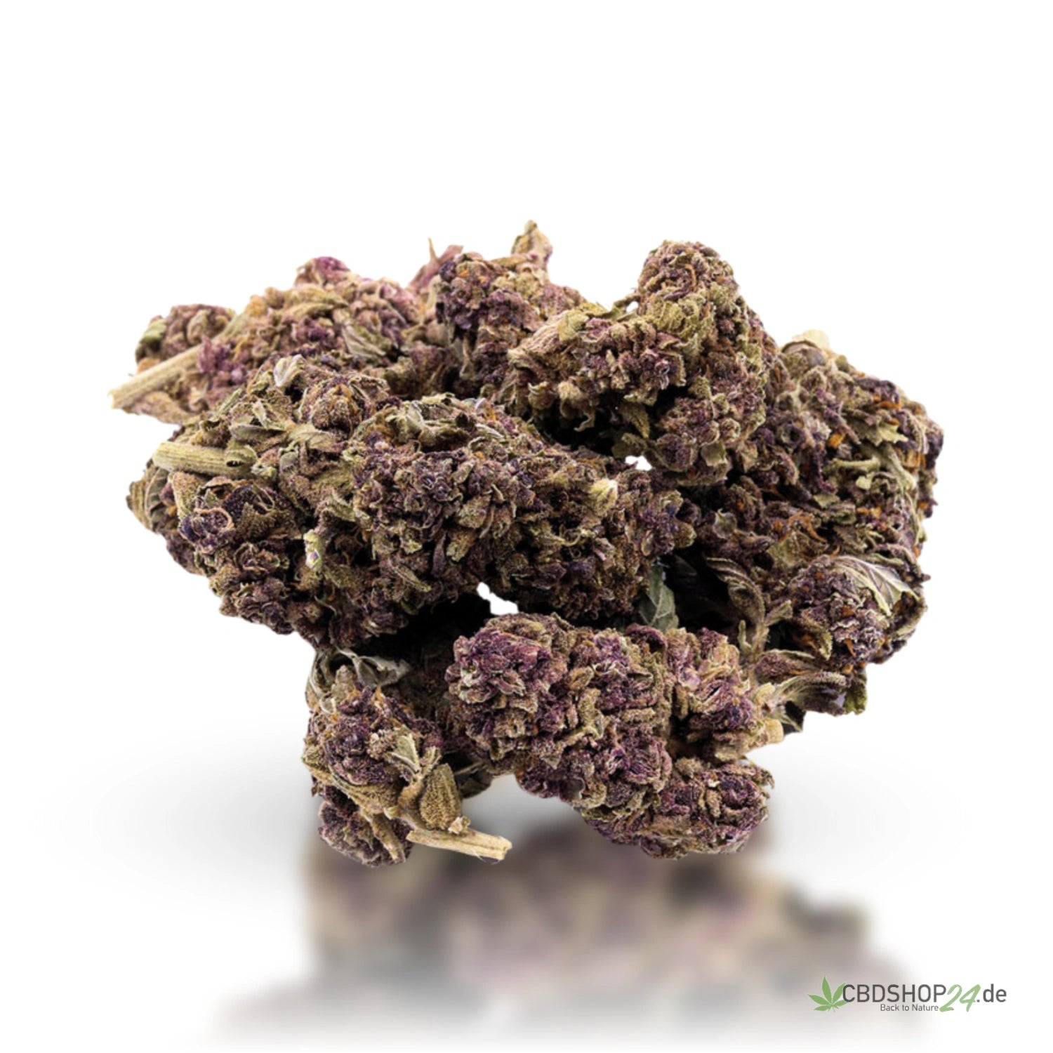 CBD-Blüte - Purple Haze - IlovePot cbdshop24