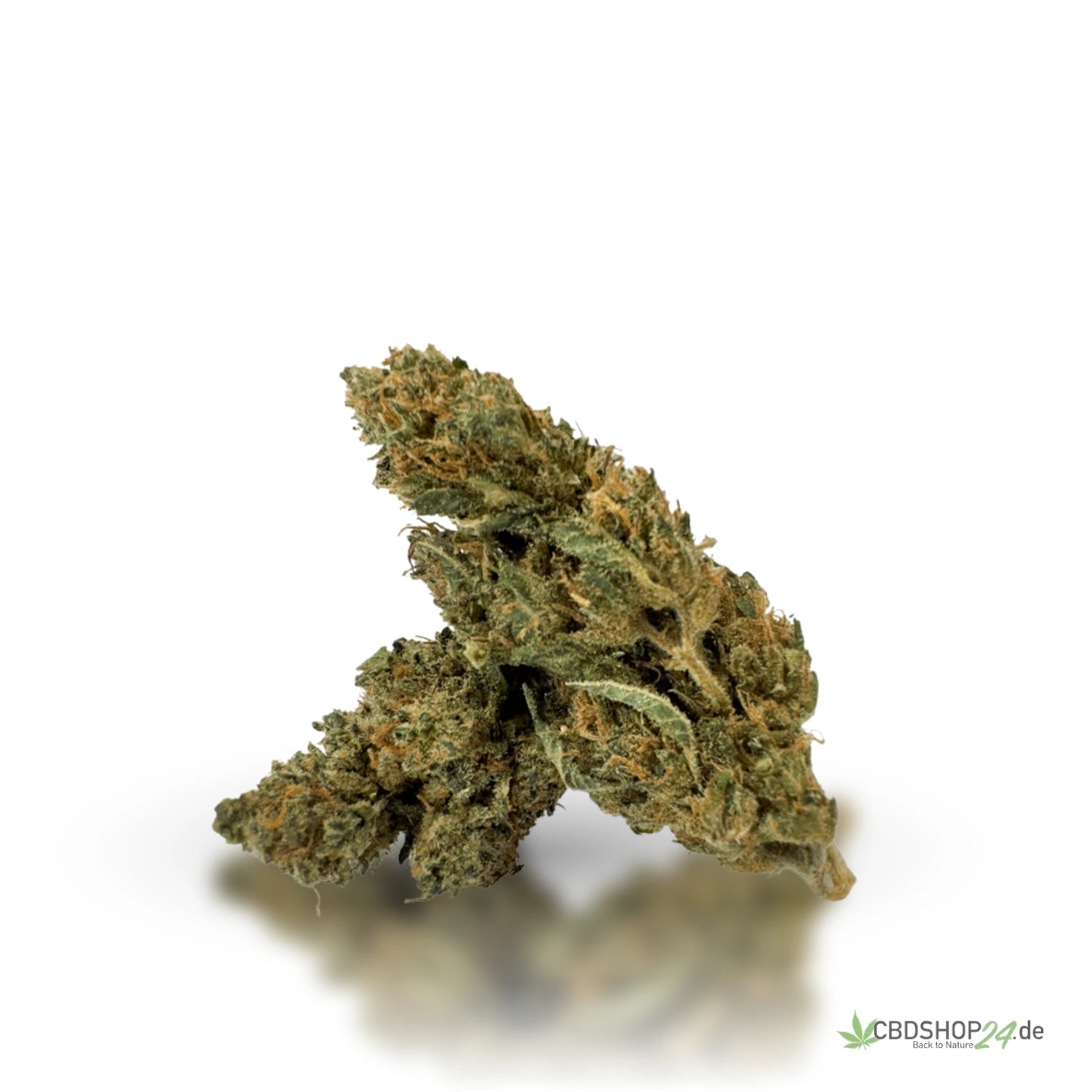 ILovePot 40% HHZ Premium Blüte - Super Silver Haze cbdshop24