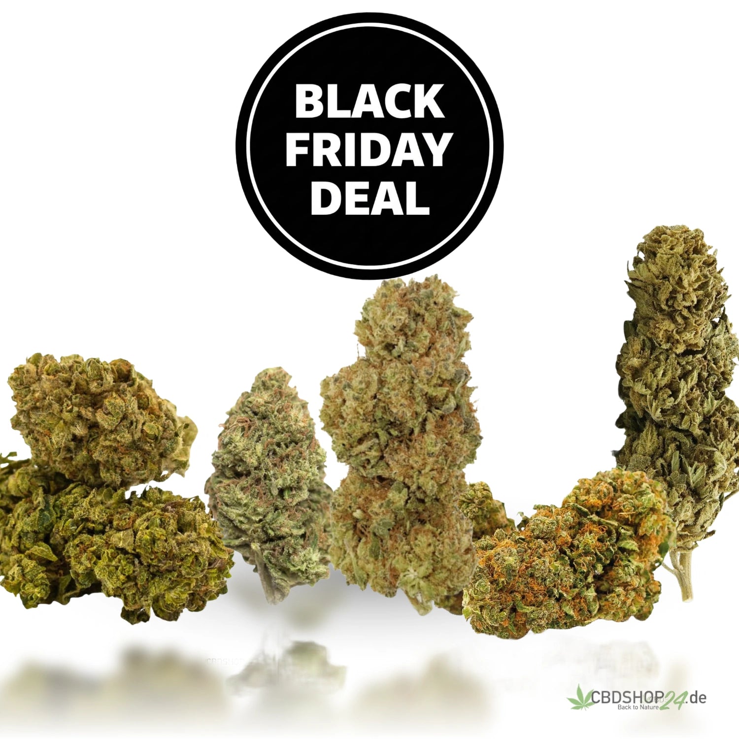 CBD Blüten 10g Bundle