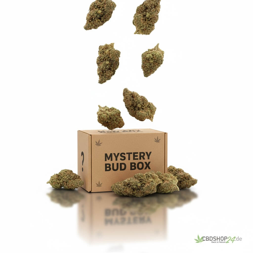 10g Mystery Bud Box - Blüten 10-OH-HHC