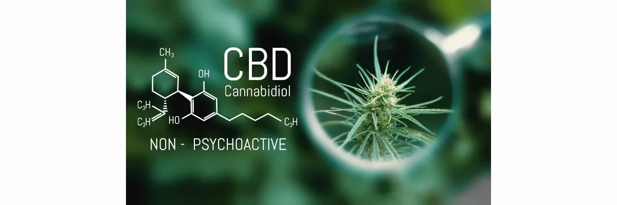 Cannabidiol CBD