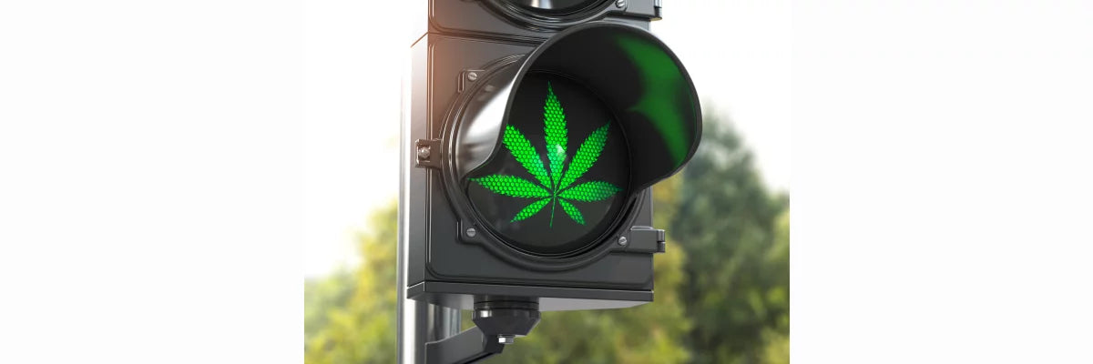 CBD Legalisierung
