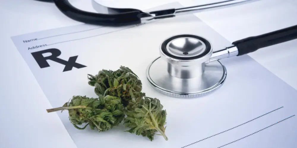 Medizinisches Cannabis: Wirkung, Erfahrungen und aktuelle Regelungen-cbdshop24.de