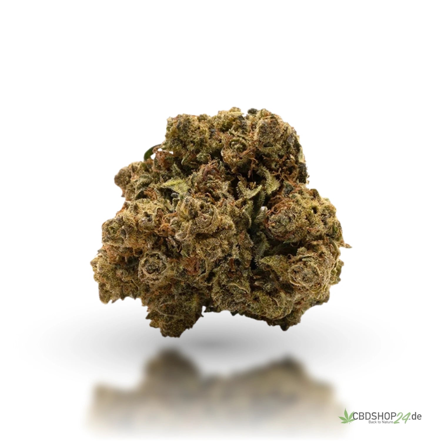 IlovePot 40% 10-OH-HHC Blüte V2 - Gelato cbdshop24