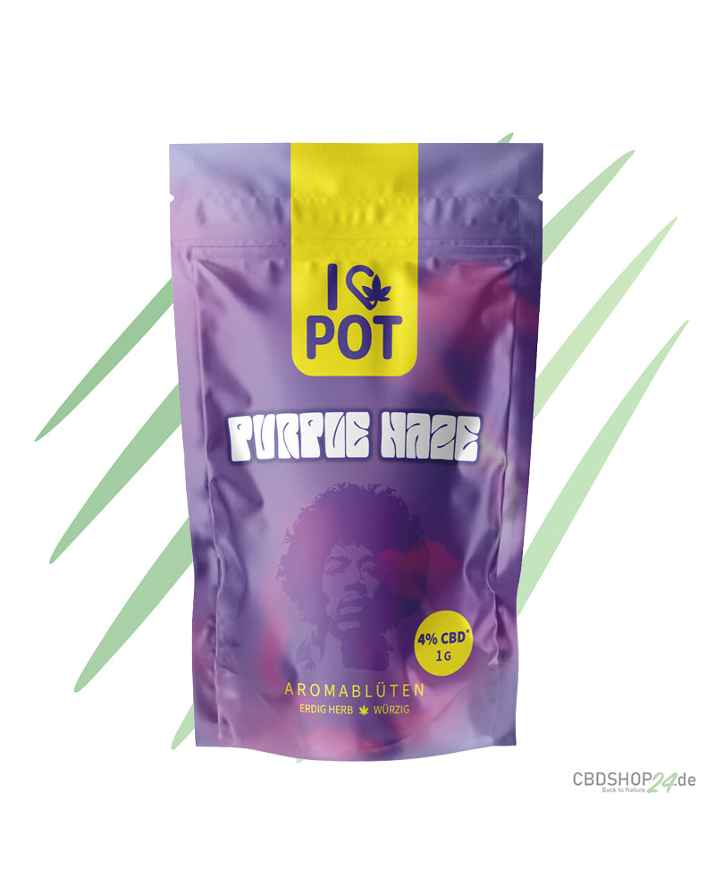 CBD-Blüte - Purple Haze - IlovePot