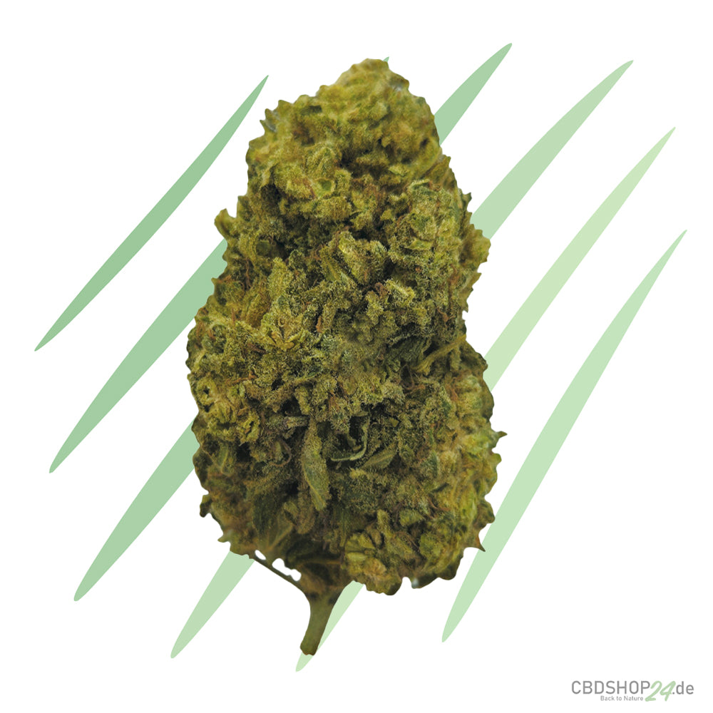 CBD Blüten Lemon Cookie