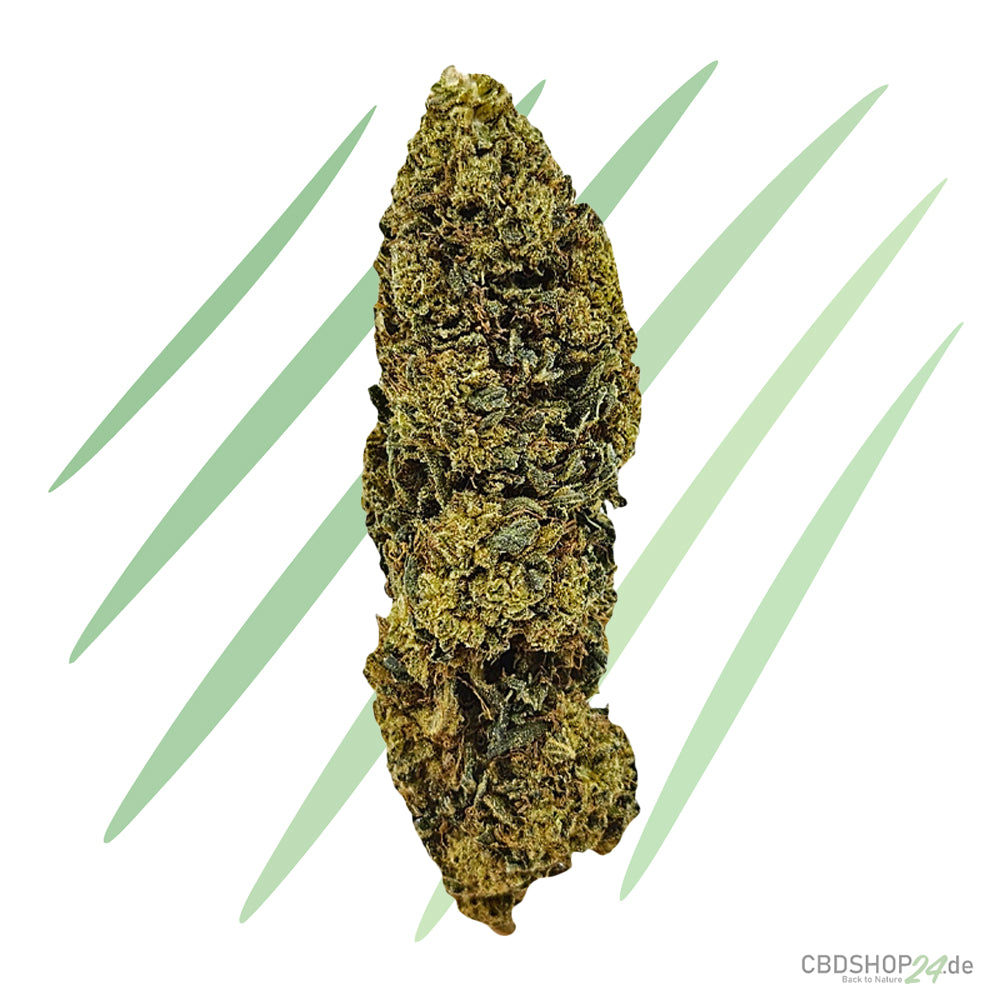 CBD Blüten Super Lemon Haze