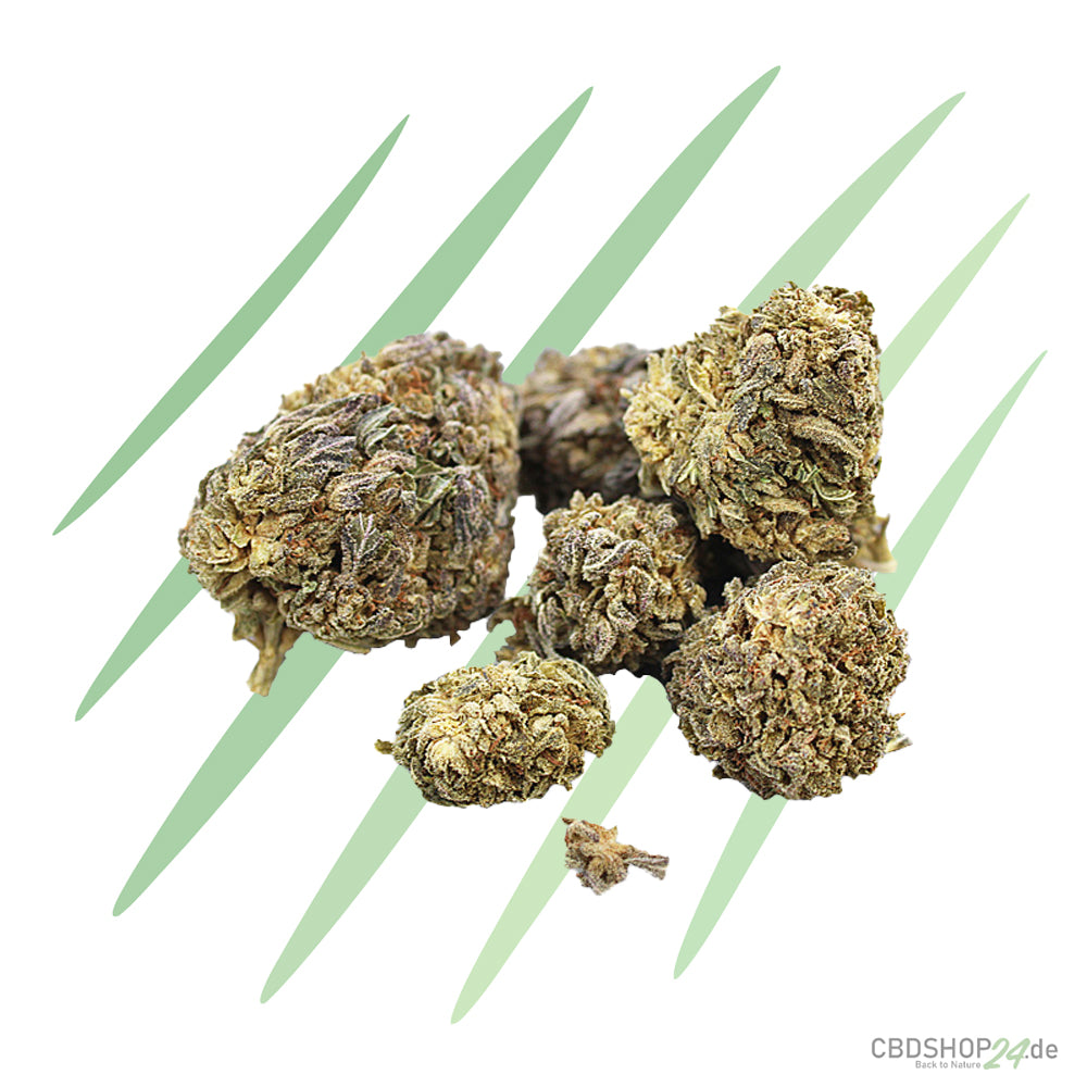 CBD Blüten Bubba Kush Watermelon v.1