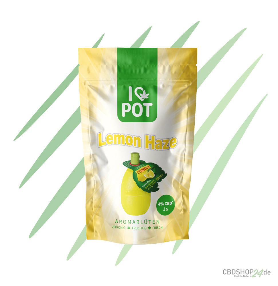 CBD-Blüte - Lemon Haze - IlovePot
