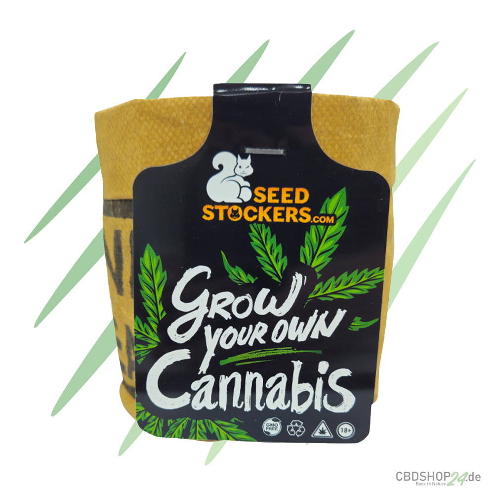 Seedstockers - Mini-Grow-Kit (Autoflowering)