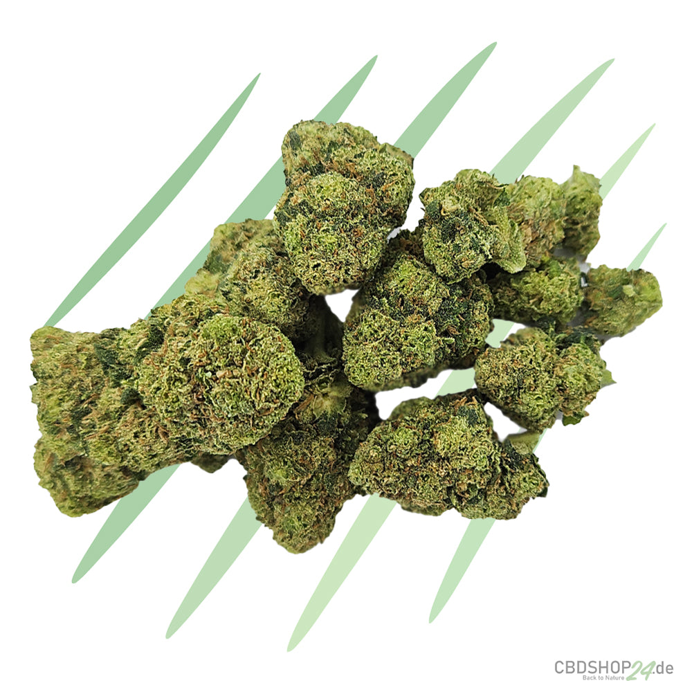 CBD Blüten Jack Herer