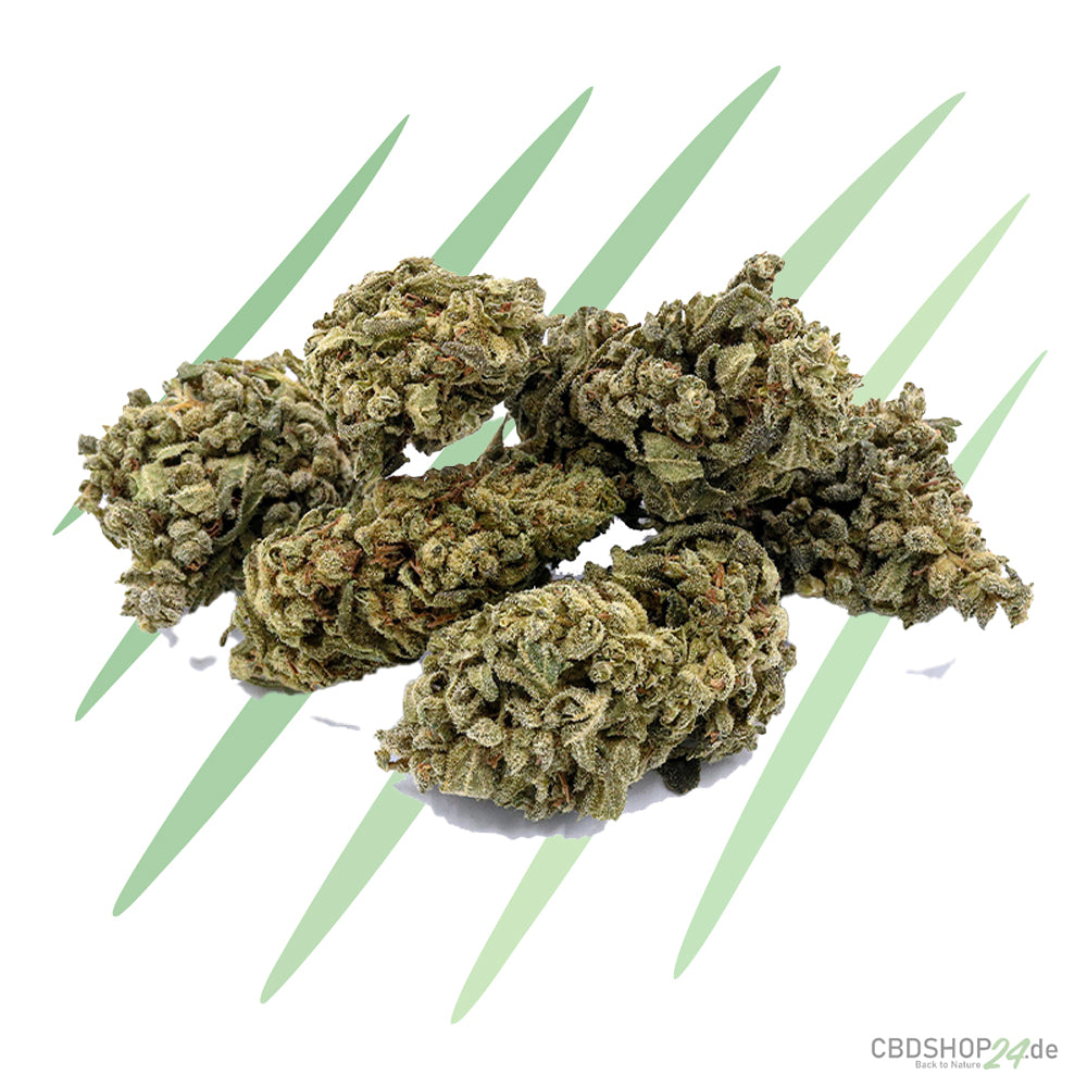 CBD-Blüte - Blueberry Yum Yum - IlovePot