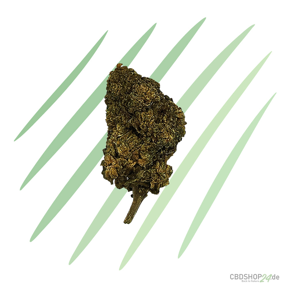 10-OH-HHC Blüten Super Lemon Haze