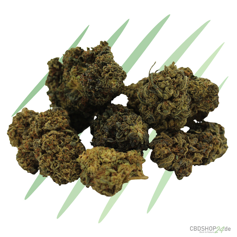 10-OH-HHC Blüte - Girl Scout Cookies
