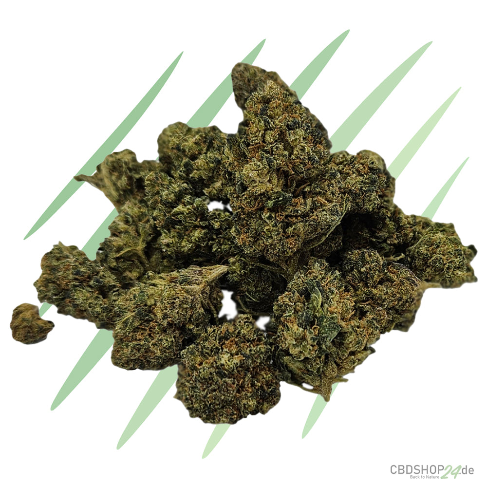 CBD Blüten Northern Lights #5 x Haze