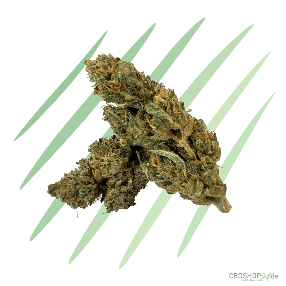 HHZ Premium Blüte - Super Silver Haze