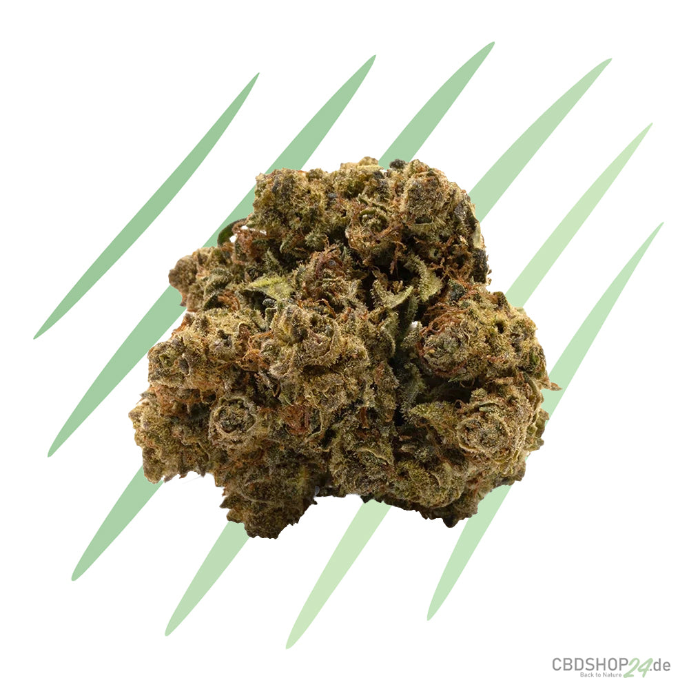 10-OH-HHC IlovePot Blüte V2 - Gelato
