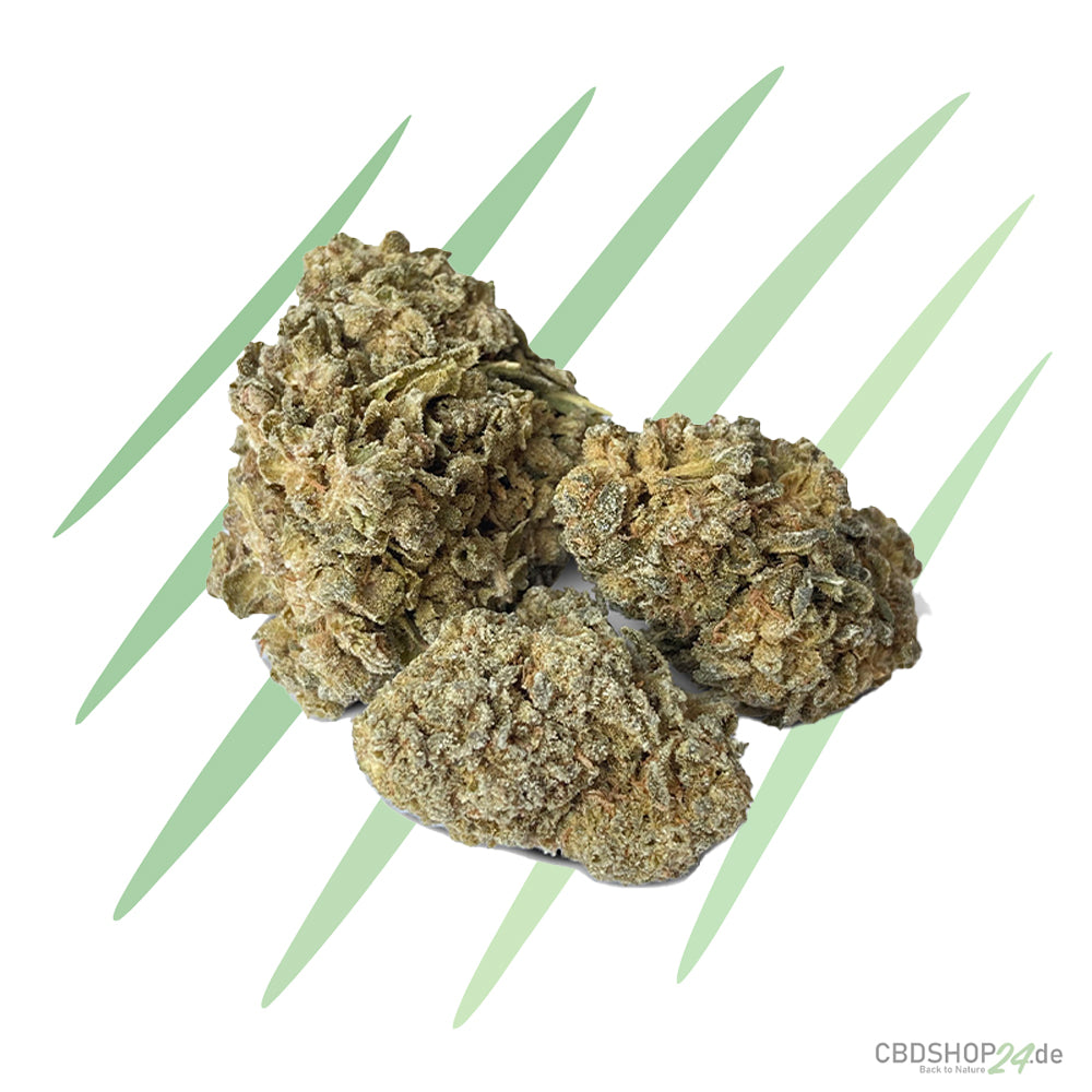 CBD-Blüte - Austin Powers - IlovePot
