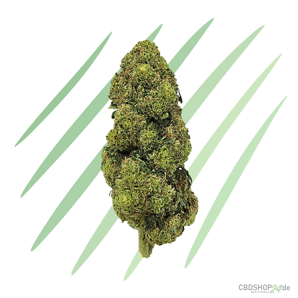 CBD Blüten Jack Herer