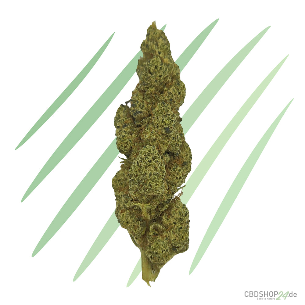 CBD Blüten White Widow