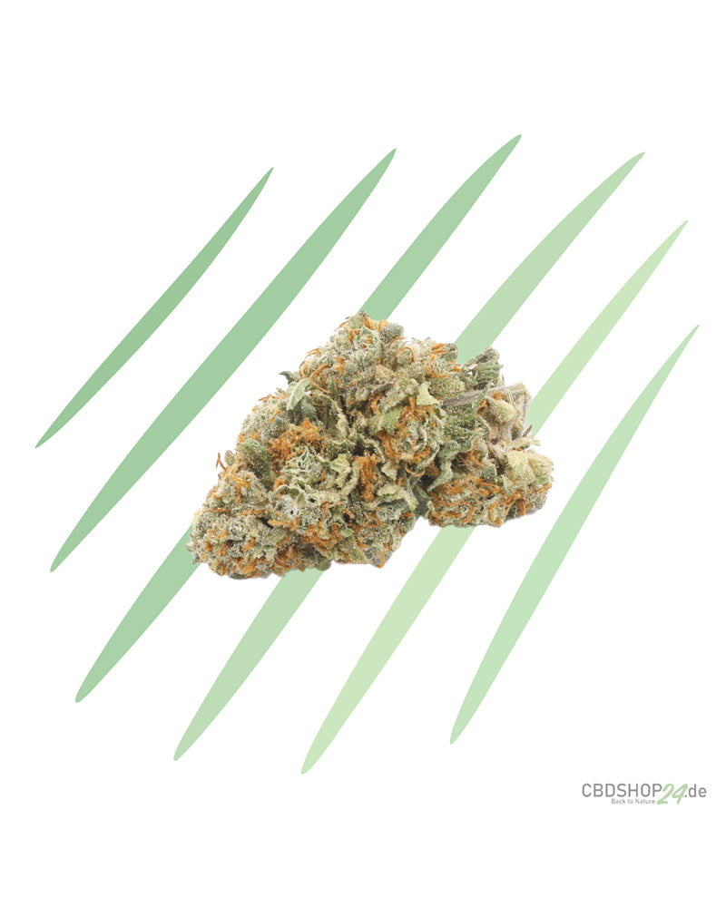 CBG-Blüte - Orange Skunk - IlovePot