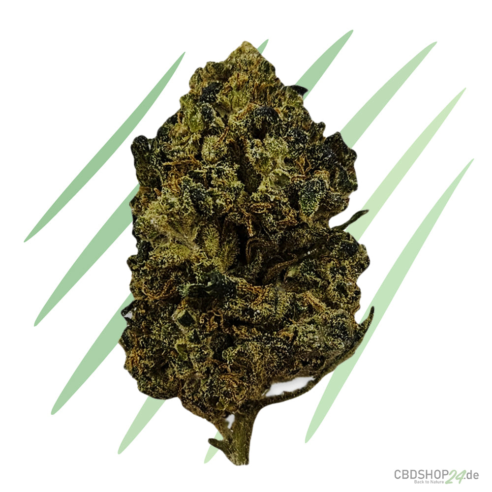 CBD Blüten Northern Lights #5 x Haze