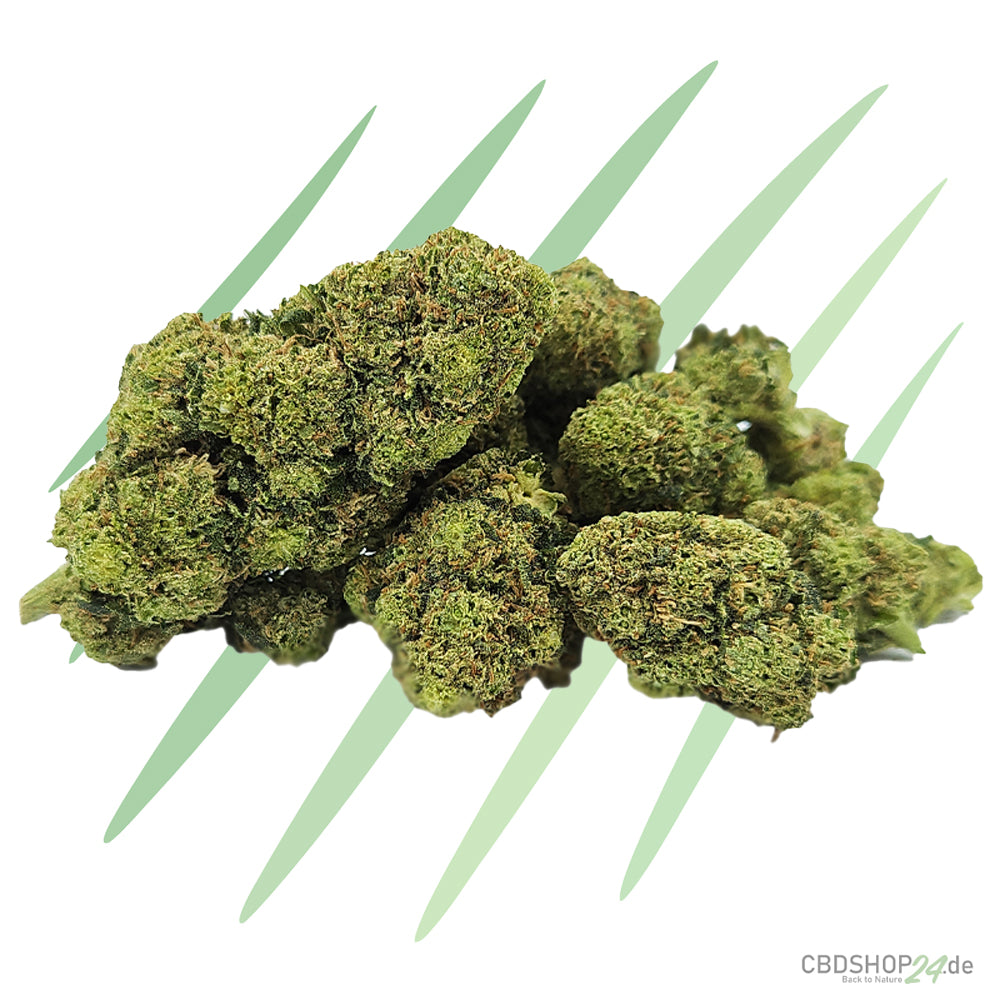 CBD Blüten Jack Herer