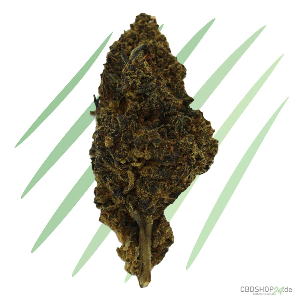 10-OH-HHC Blüten Ak 47
