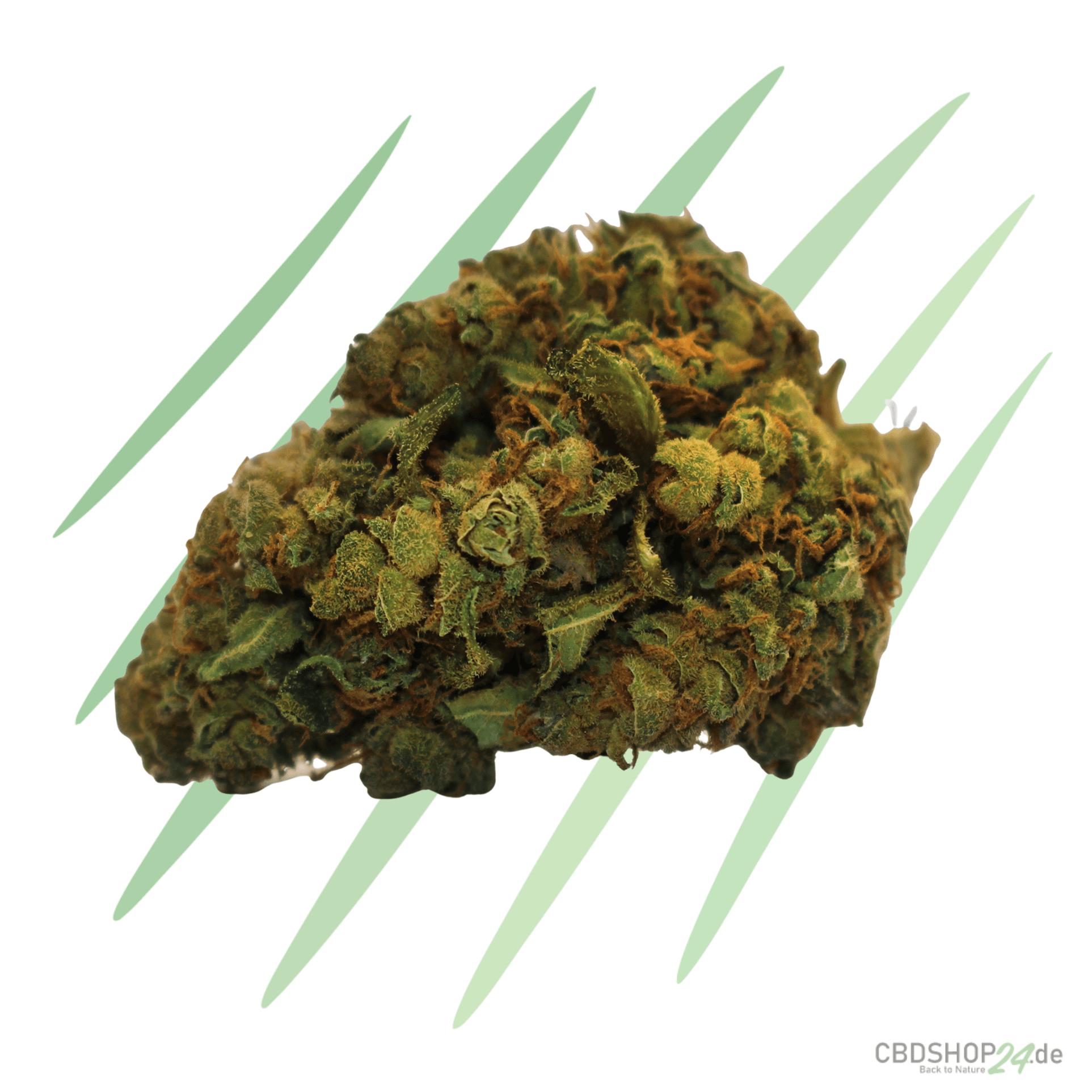CBD Blüten Bubba Kush Watermelon OG