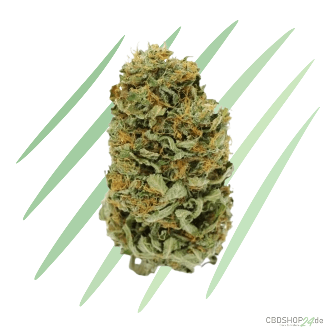 CBD Blüten Amnesia Haze