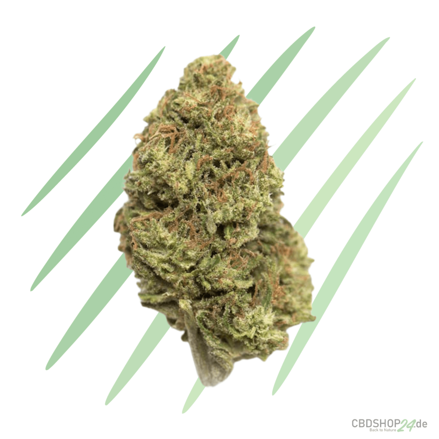 CBD Blüten California Sour Diesel